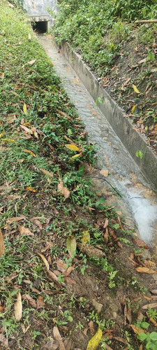 WhatsApp Image 2026 03 30 at 15.24.57.jpg