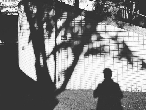 20191207 234959 B5yk4KUFjJn 01.jpg