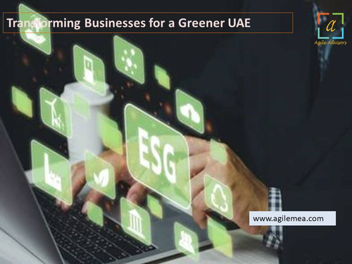 Enhancing Business Transparency with ESG Consulting.jpg