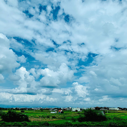 20190707 063902 BzmxRe1lXAv 01.jpg