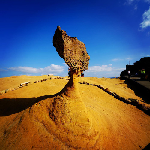 20191012 093104 B3g2EWhlRdd 01.jpg