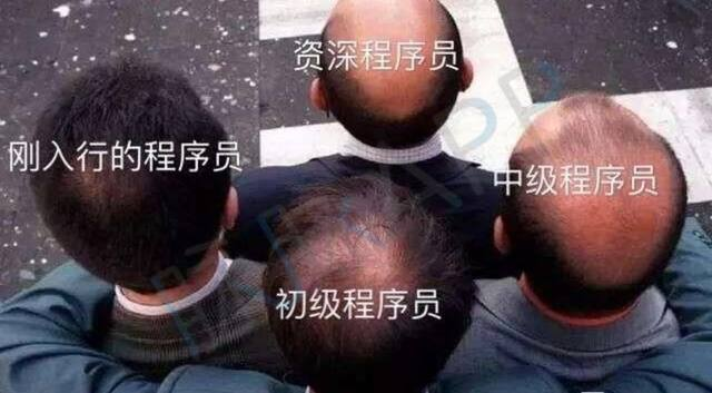 程序员反应图：不同时间段的程序员们