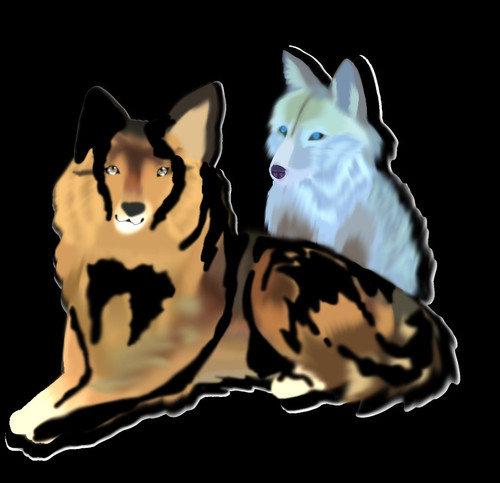 Untitled318 20260329194234.jpg