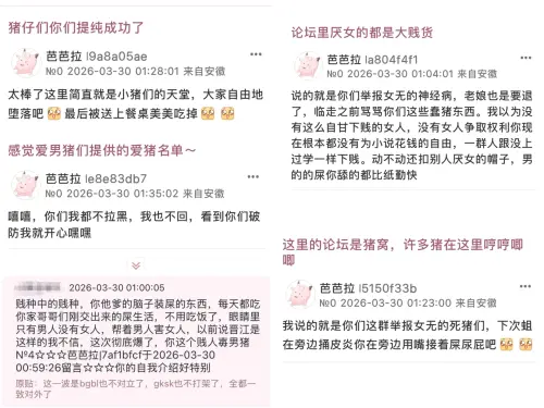 1001247745.webp