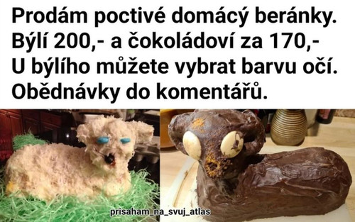 beránci.jpg