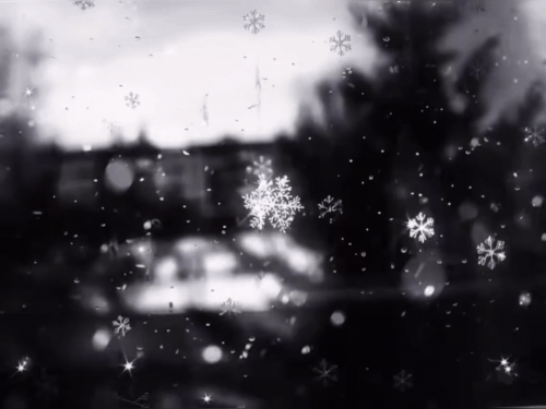1000030809.gif