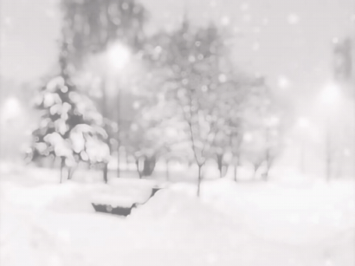 1000030817.gif