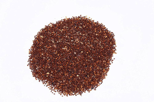 71VNheFOEsL. AC UF1000,1000 QL80 .jpg