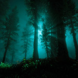 Horizon Zero Dawn_20170510145021