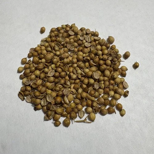coriander desi dhania seeds herb seeds 500x500.webp