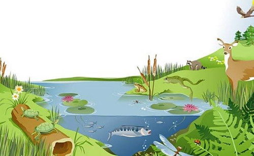 43576a92 12be 4dc5 a91c 25a50e646a1f.jpg