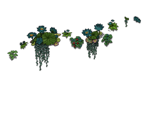 flowering nun female.png