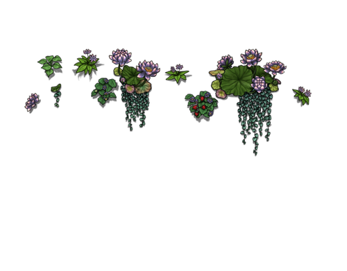 flowering dawn male.png