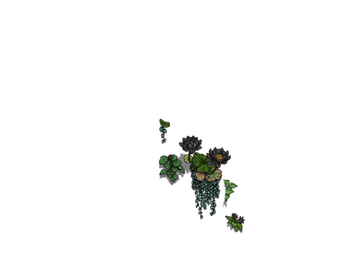 flowering black cub.png