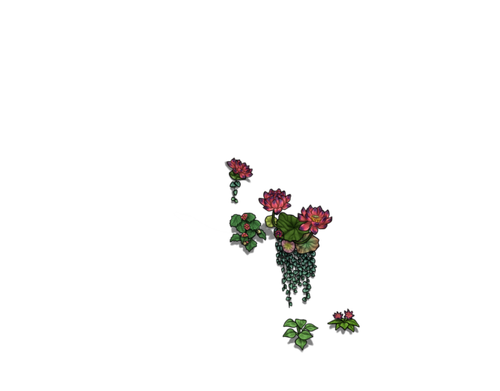 flowering primavera cub.png