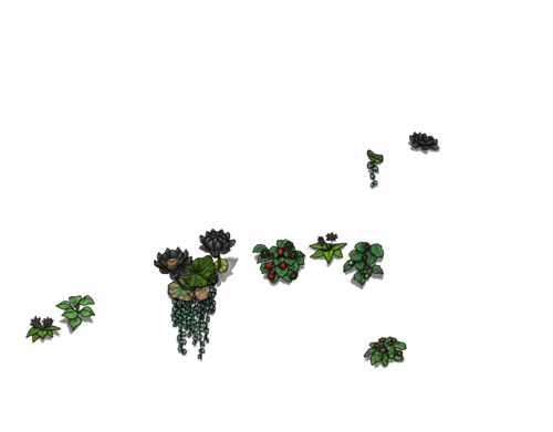 flowering black lioness.png