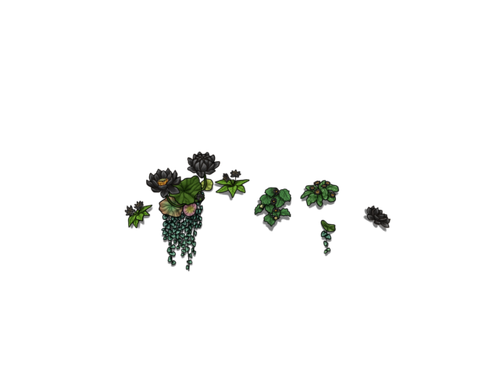 flowering black fadol.png