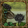 flowering black thumb.png