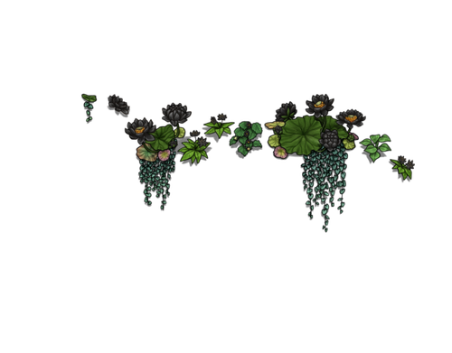 flowering black male.png