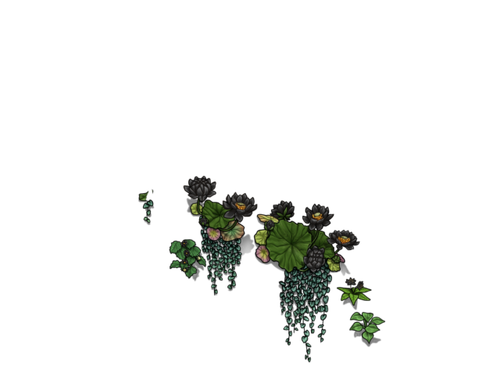 flowering black cub.png