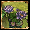 flowering dawn thumb.png