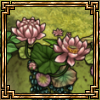flowering lotus thumb.png