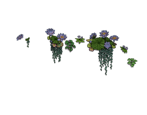 flowering saintpaulia female.png