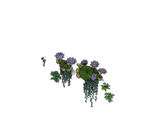 flowering saintpaulia cub.png