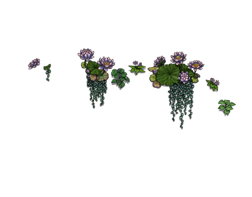 flowering dawn female.png