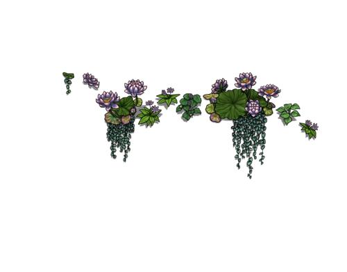 flowering dawn male.png