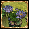 flowering saintpaulia thumb.png