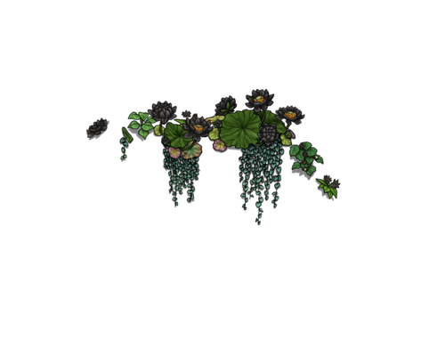 flowering black adol.png