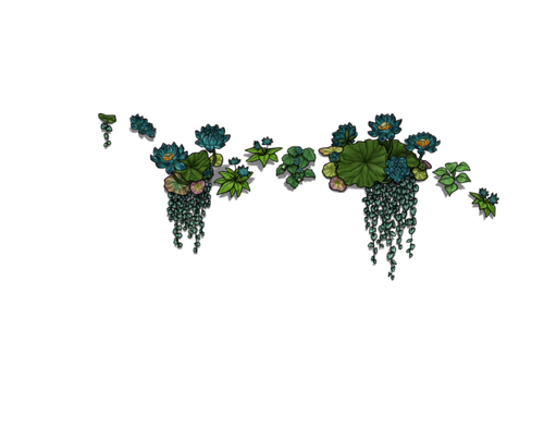 flowering nun male.png