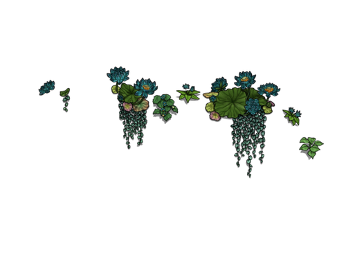 flowering nun female.png