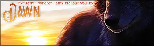 dawn banner.jpg