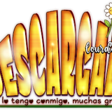 DescargadoBeeBearSprg AI DG Lolis Lourdes