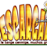 DescargadoBeeBearSprg AI DG Lolis Camila