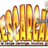 DescargadoBeeBearSprg AI DG Lolis Rosita