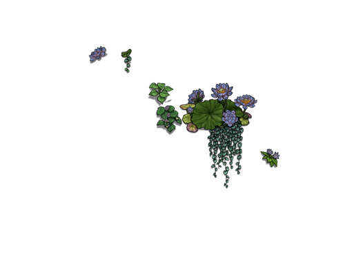 flowering sainpaulia madol.png