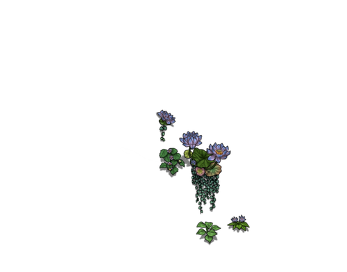 flowering saintpaulia cub.png