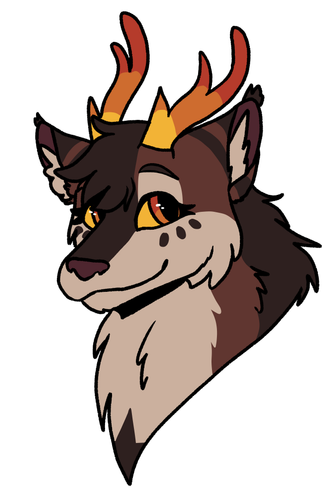 Quixi WolfHeadshot 1.png