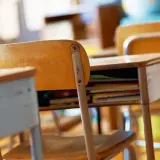 Șeful sindicatului profesionale din Georgia dă vina pe facultatea