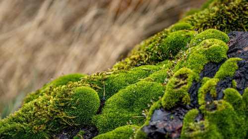 HEok vaWIAAOgTQ?format=jpg.jpg