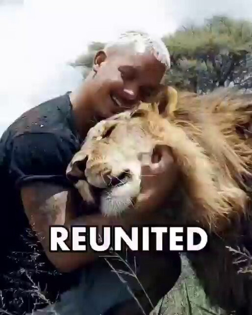 aKlvazi4 04ZSEdc.jpg