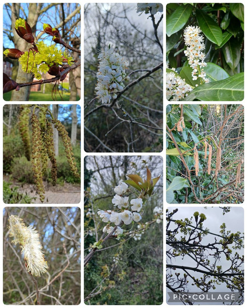 HEmfvApXEAAs qR?format=jpg.jpg