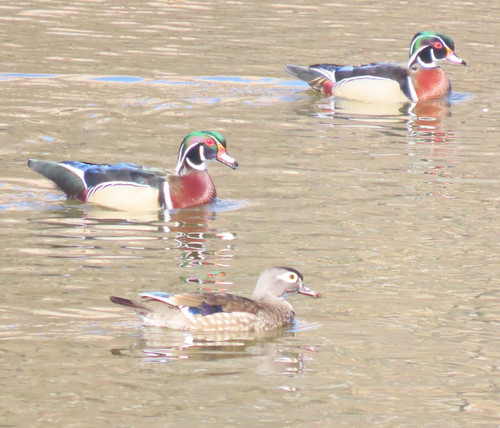 HEm 0w7WEAA2uF0?format=jpg.jpg