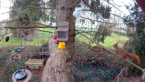 oAqvB8 xRudV9uZs.jpg