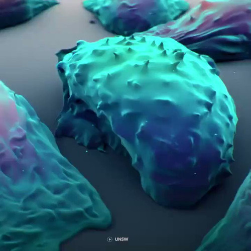 bQ2mZ GSb0Rf6Llh.jpg