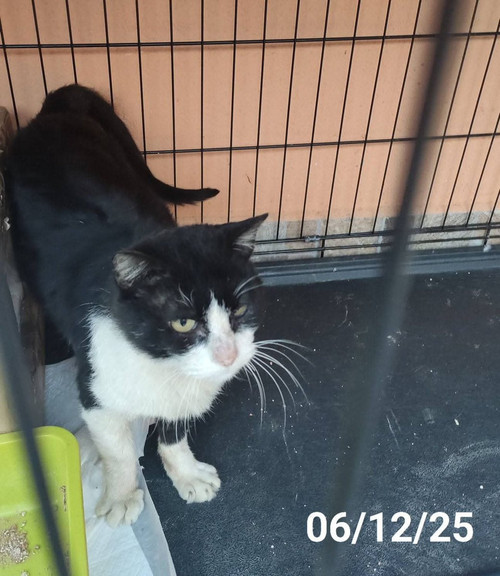 G7p 3D1WgAA979A?format=jpg.jpg