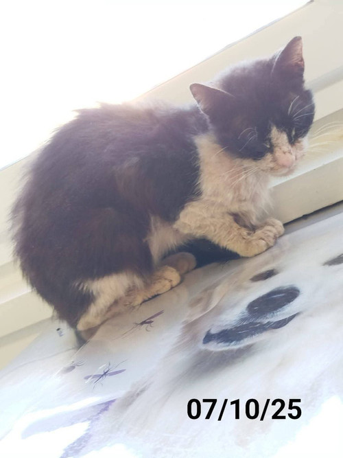 G7p 28ZWEAAq8Of?format=jpg.jpg